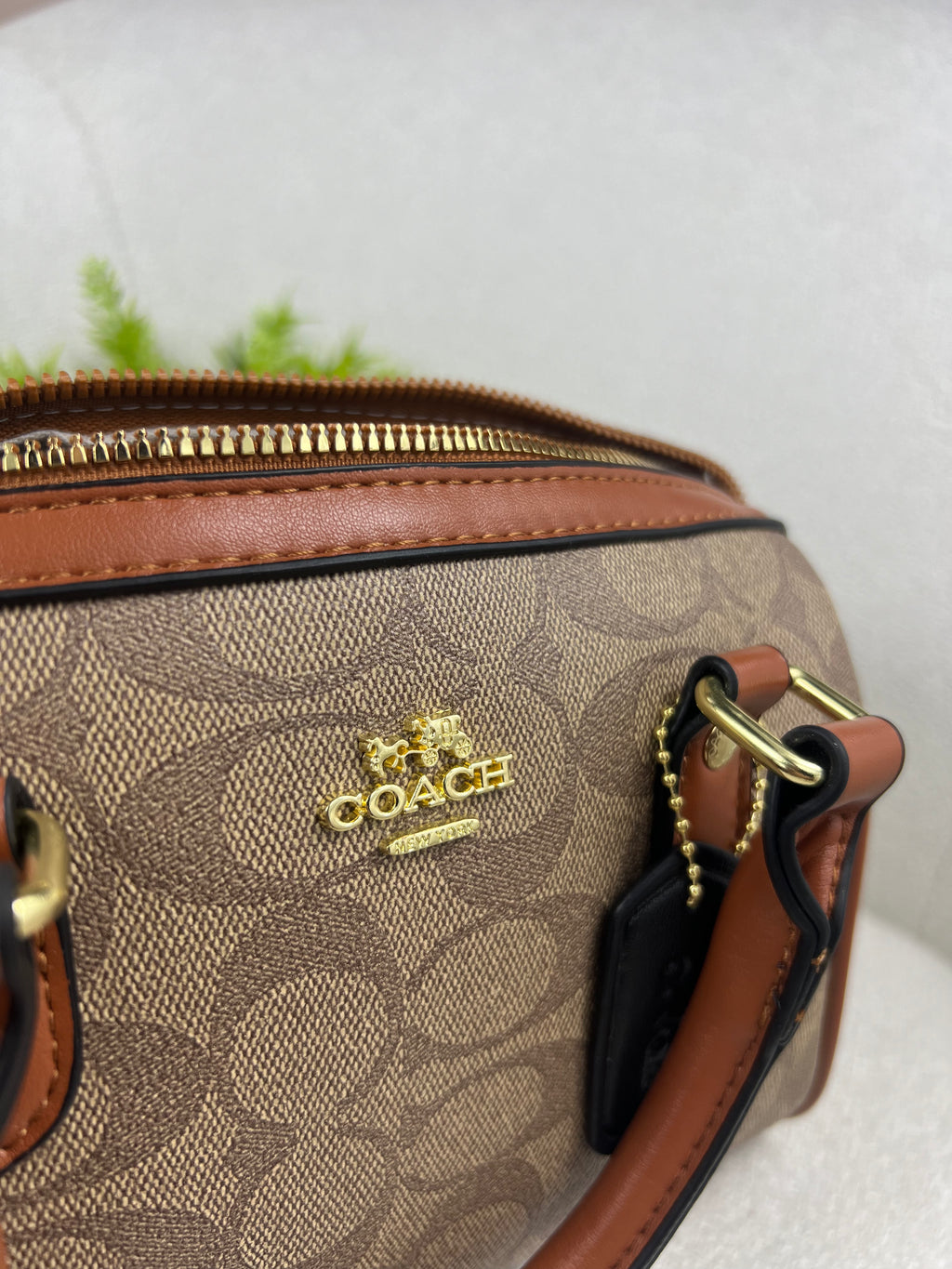 Style Coach Speedy