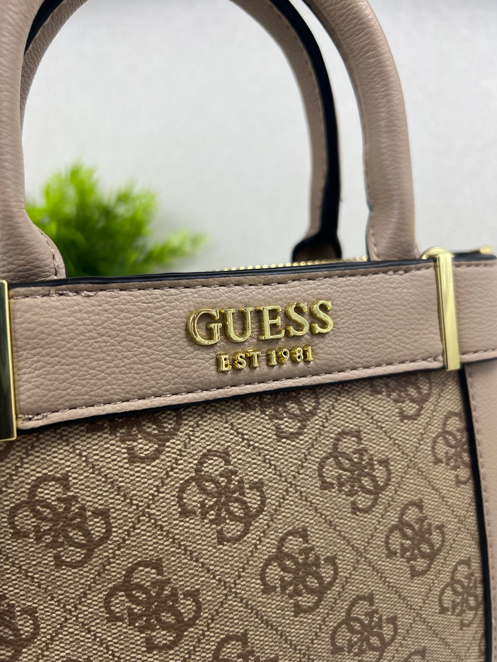 Style Guess Mini